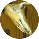 Anna Naperty profile picture